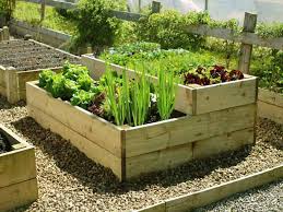 DIY Garden Projects to Transform Your Outdoor Space